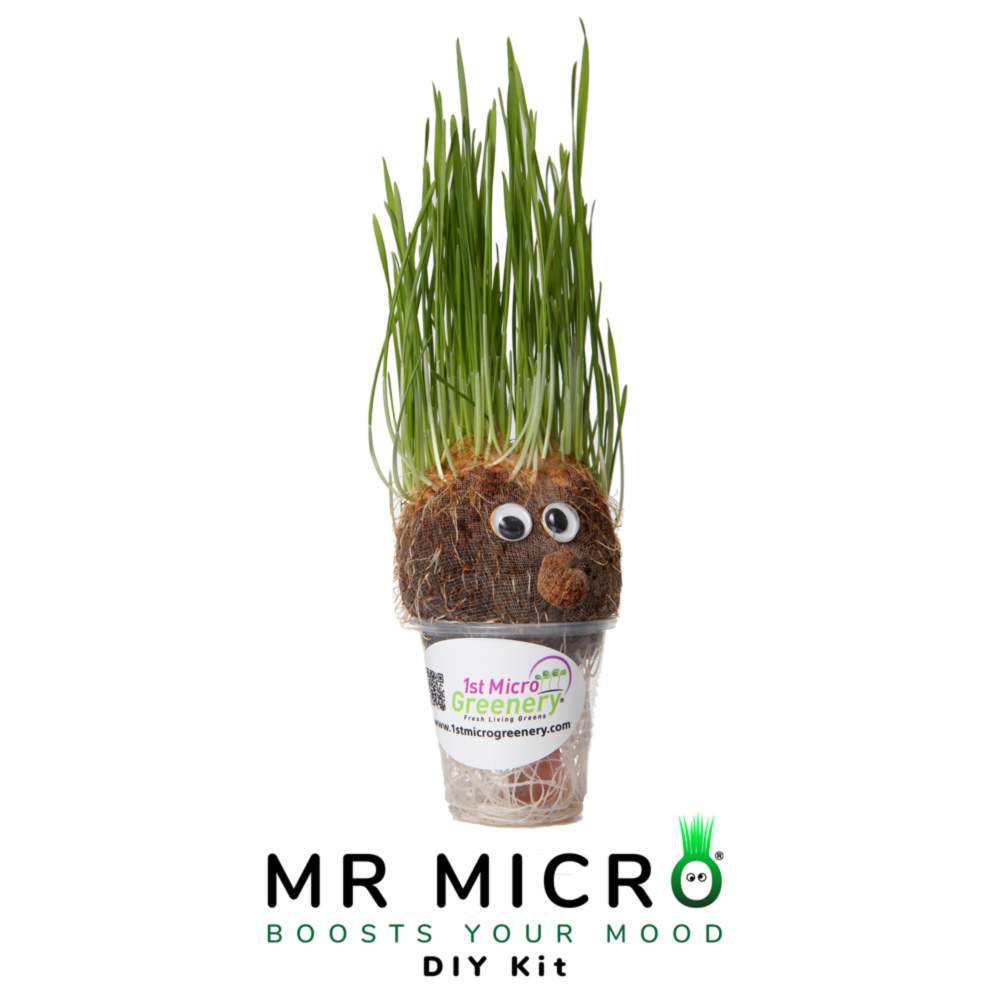 Coco fiber with grass and googly eyes, labeled 'Mr Micro' on a white background