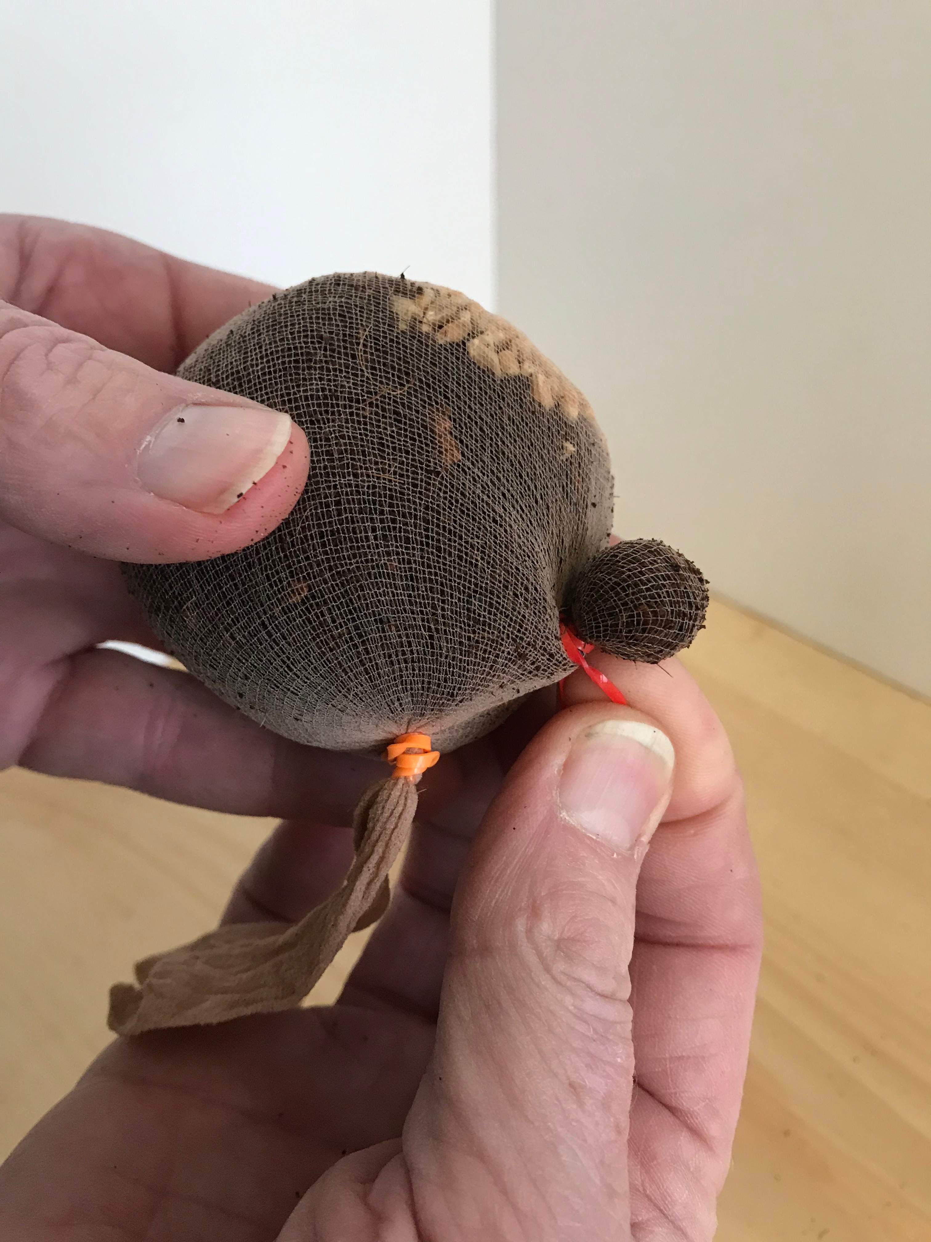 Hand completing mr micro nose