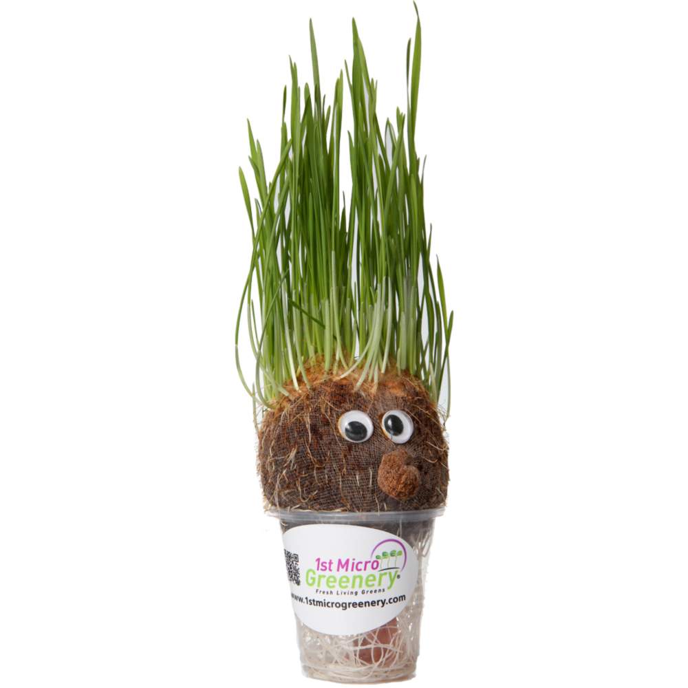 Cute plant guy with googly eyes and green grass on a white background